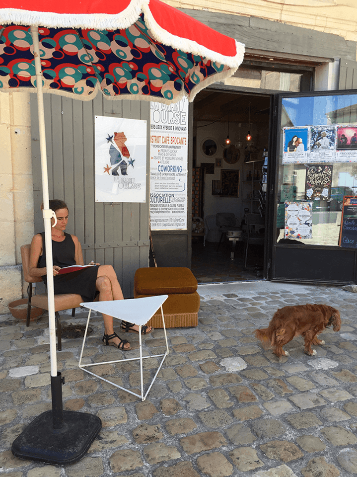 La Grand'Ourse, Saint-Sauvant (17)