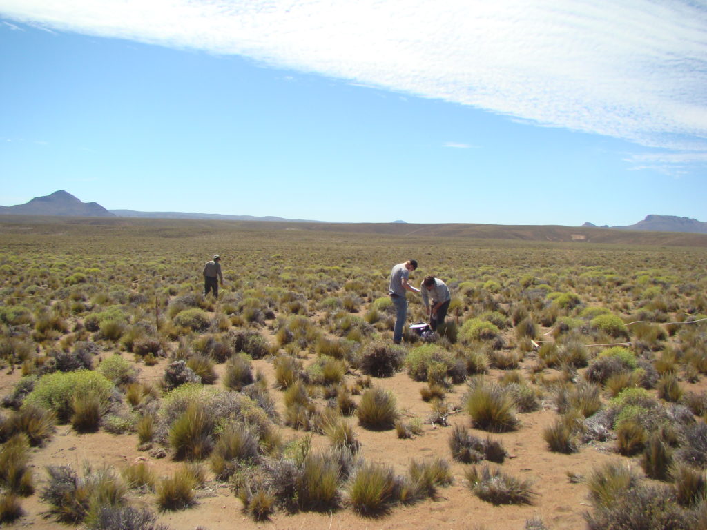 Centre d’Études Biologiques de Chizé (79)