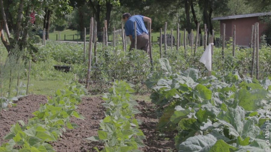 le potager d'à coté