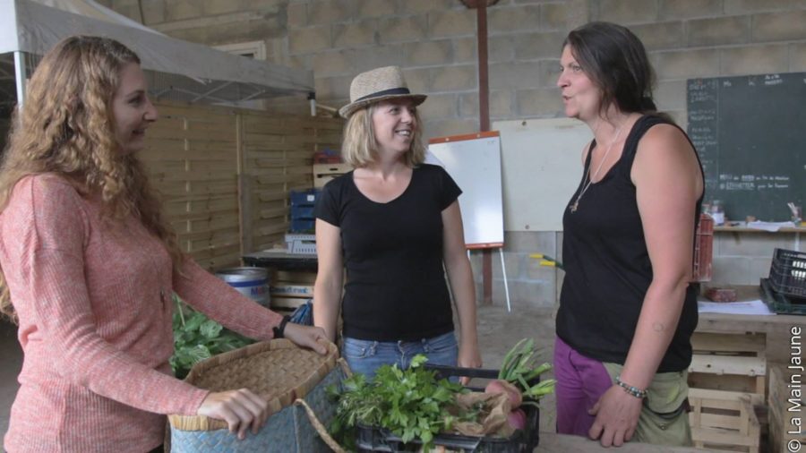 le potager d'à coté