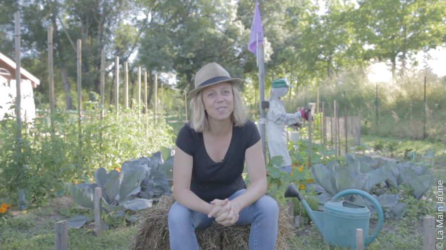 Le Potager d’à Côté : une plateforme numérique pour consommer responsable