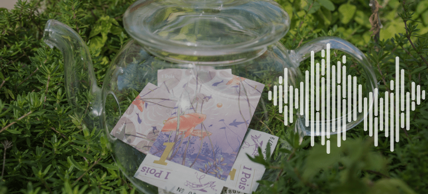 L&rsquo;Effet Bocal, un comptoir d&rsquo;échange pour une monnaie locale complémentaire