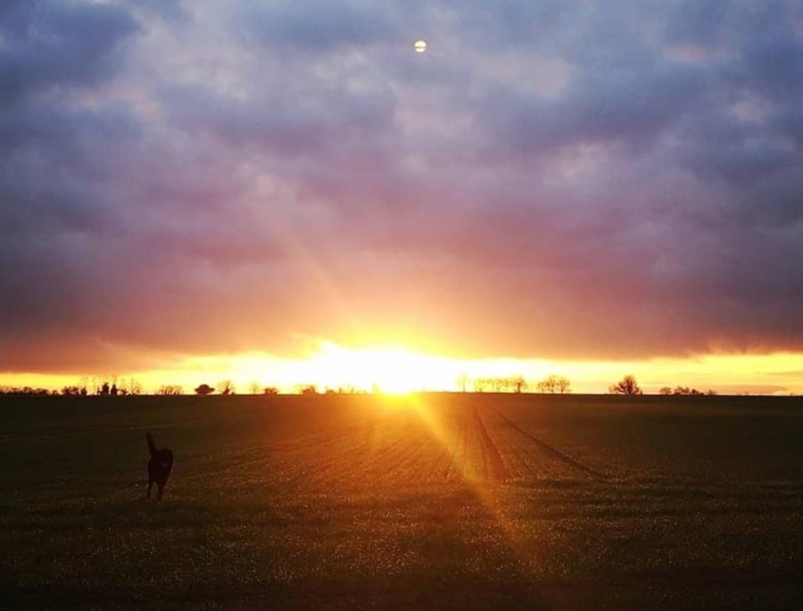 Cirena, accélérateur de transition énergétique et citoyenne