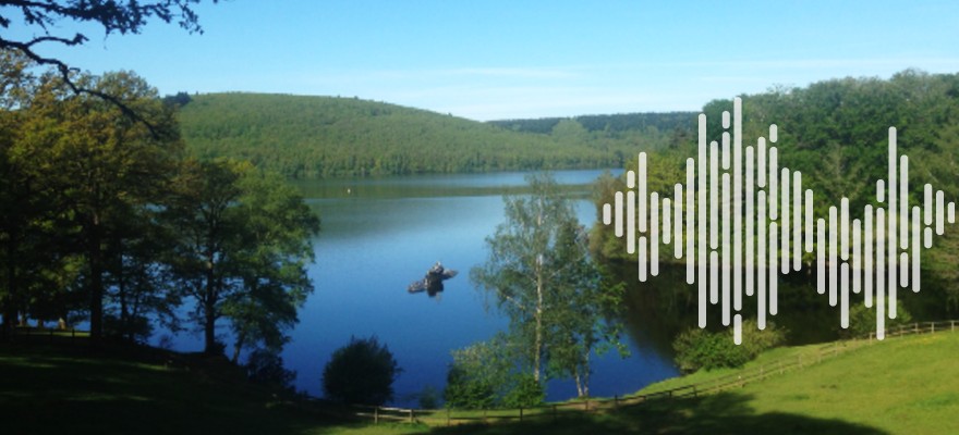 Grand Ramdam des Tiers-Lieux : la différence est norme