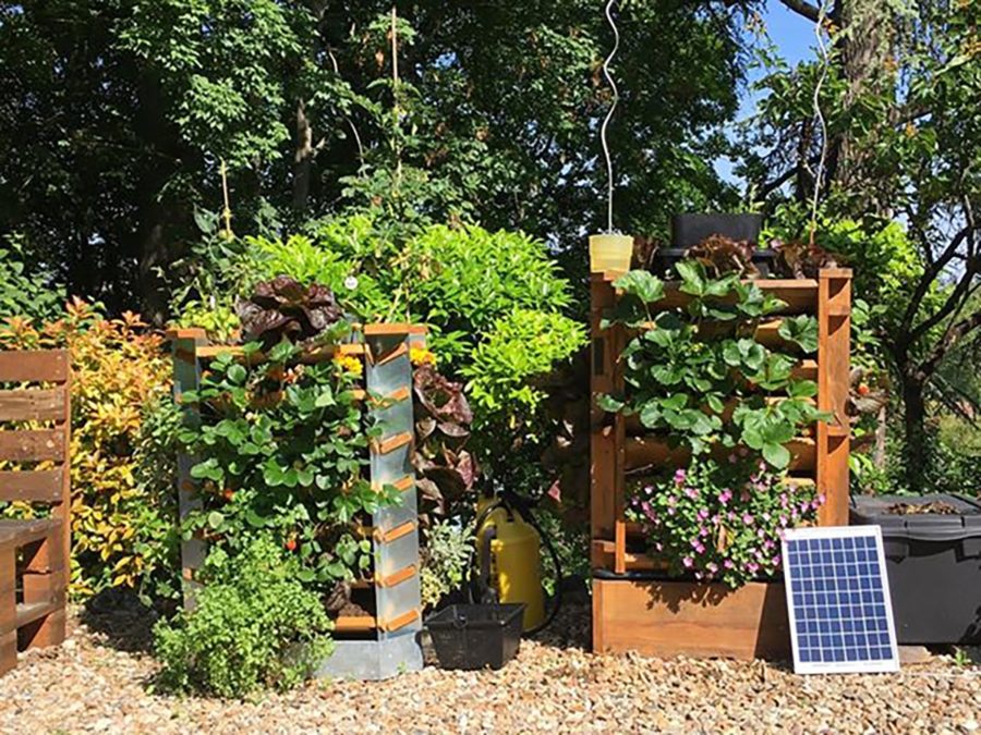 Vertika, un potager-composteur urbain conçu à Poitiers