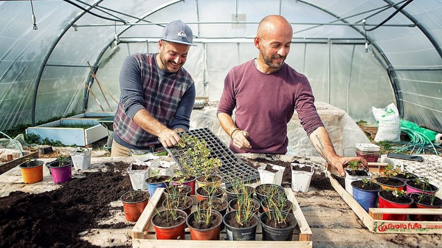 Maraîchage biologique : dans Grand Angoulême, un espace où tester son activité