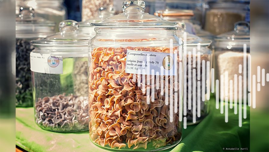 Ruralité : Mika vrak, épicerie itinérante et zéro déchet