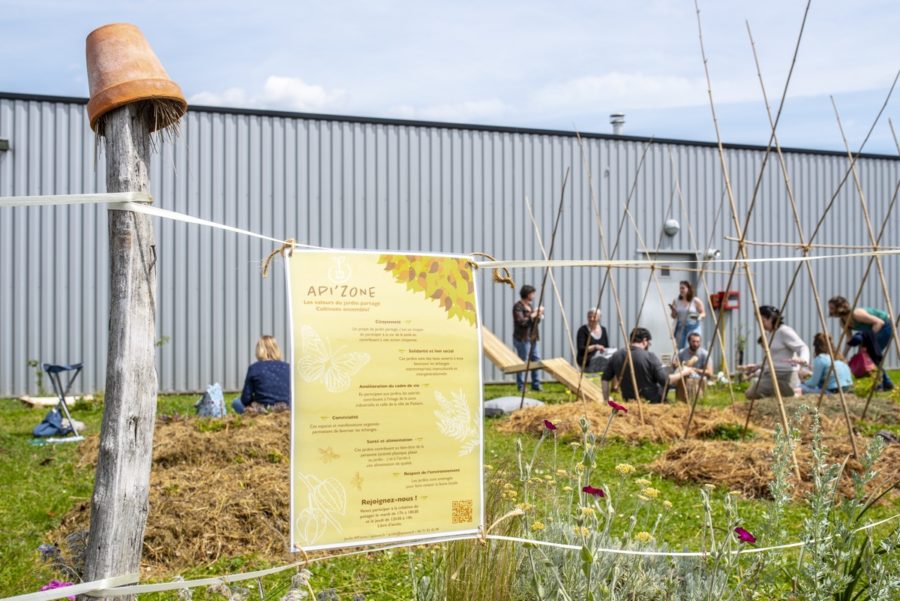 Un potager sur ma place de parking