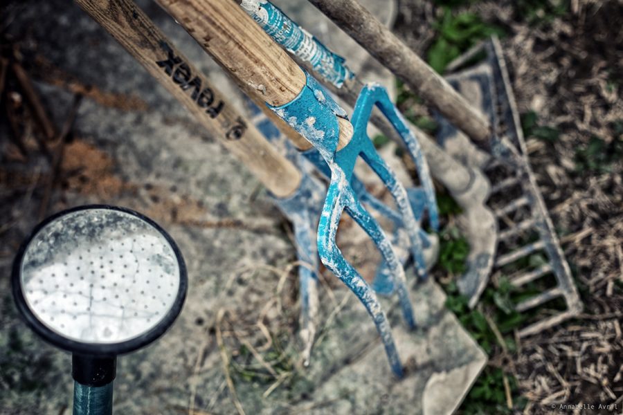 POP : lancement d’un incubateur de projets à fort impact environnemental et social en ex-Poitou-Charentes