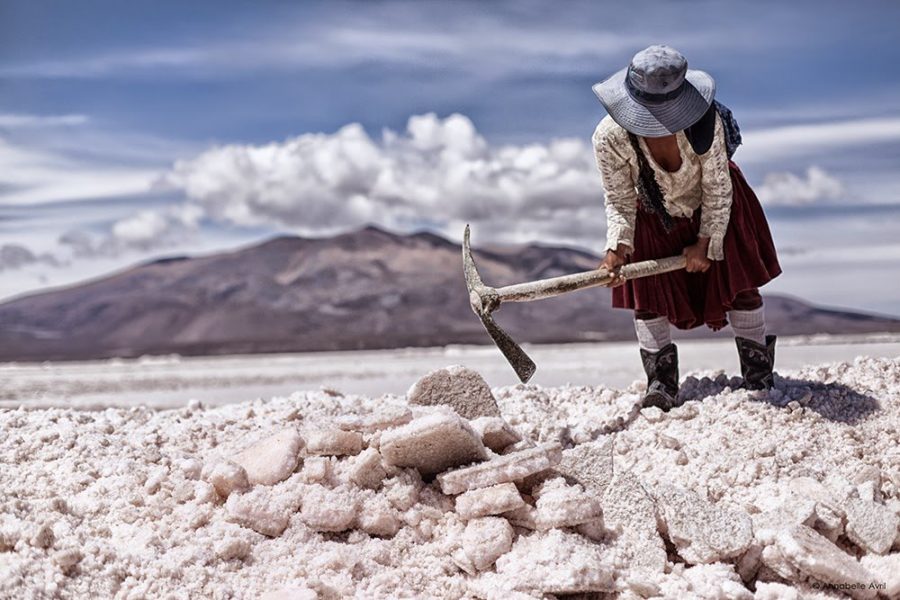 Homo numericus : le défi de la sobriété