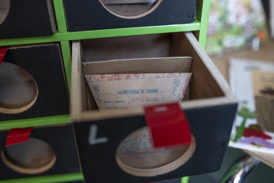 Troc de semences : liberté, autonomie, biodiversité