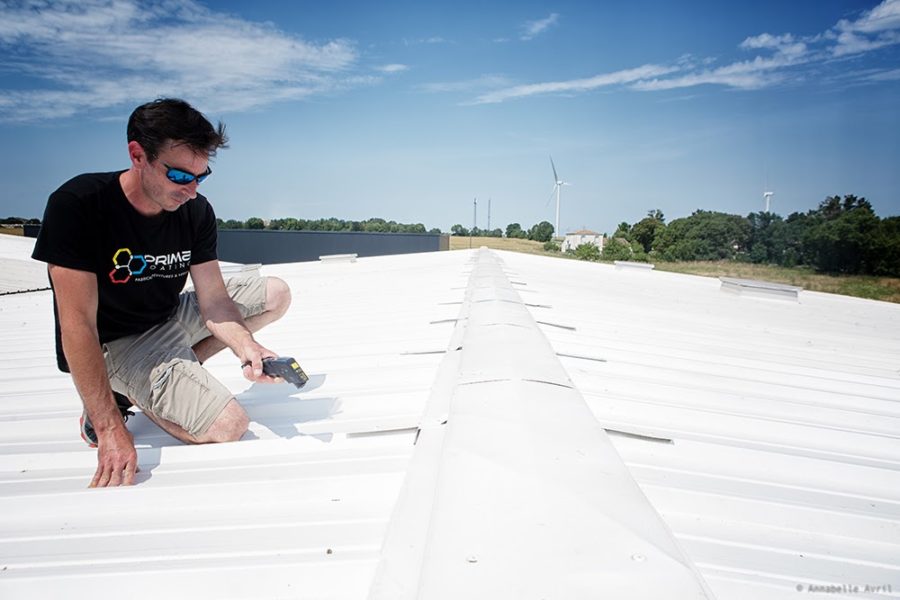“On voulait, avec une simple peinture, contribuer à la lutte contre le dérèglement climatique”