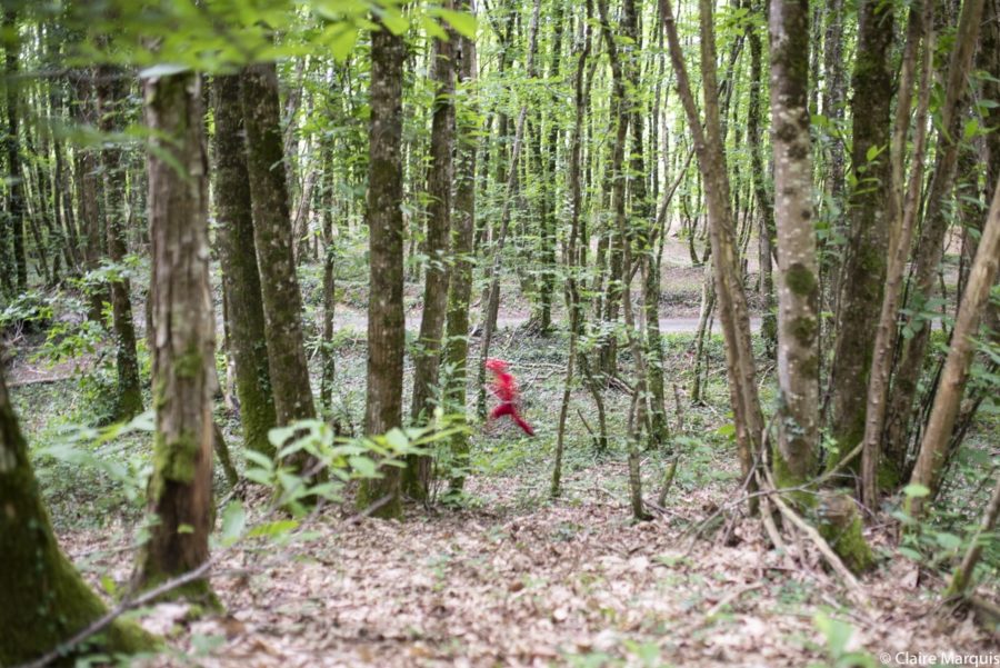 “L’important c’est de remettre les gens dans la nature proche et locale, ordinaire, en connexion avec les personnes qui habitent le territoire”