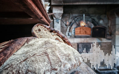 Vis ma vie de paysan boulanger : des formations aux Herbes Folles