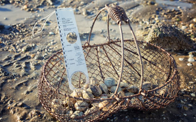 Pêche à pied : sensibiliser pour préserver la biodiversité