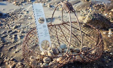 Pêche à pied : sensibiliser pour préserver la biodiversité