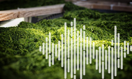 L&rsquo;algue, cet « aliment santé » oublié