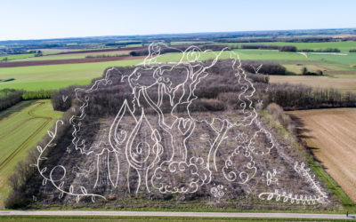 Créateur de forêt : le Niortais qui plantait des arbres