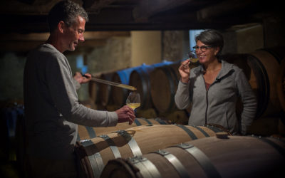 Vin nature : au-delà du bio, une philosophie