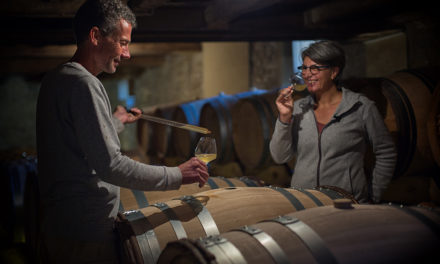 Vin nature : au-delà du bio, une philosophie