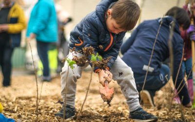 Les Urbaculteurs : des mini-forêts à maxi impact