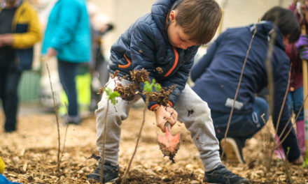 Les Urbaculteurs : des mini-forêts à maxi impact