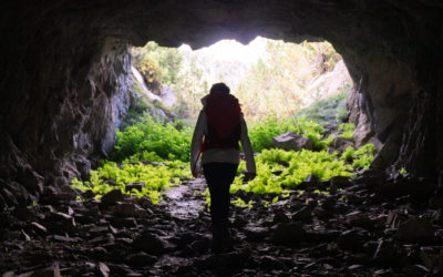 Aujourd’hui, j’ai cours de fin du monde