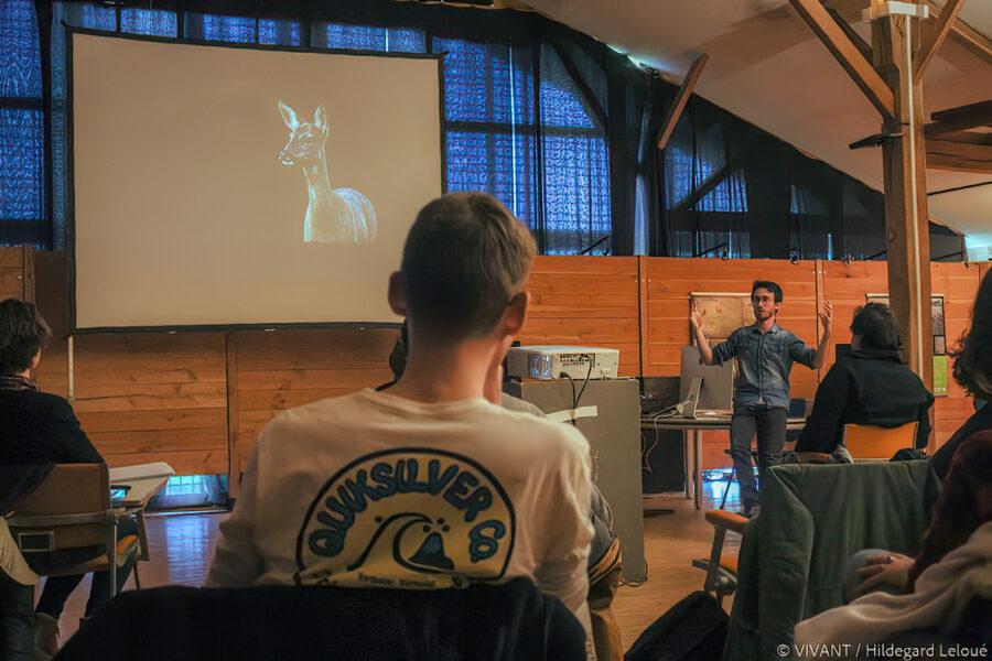 iffcam école du documentaire animalier - projection