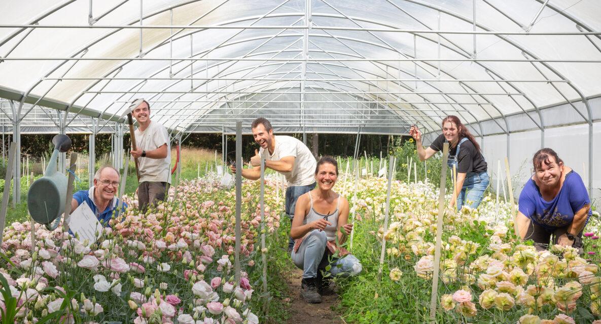 A La Floricotte, slow flower chantier d'insertion en floriculture près de Saintes
