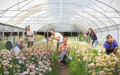 A Floricotte, “slow flower” et graine de réinsertion