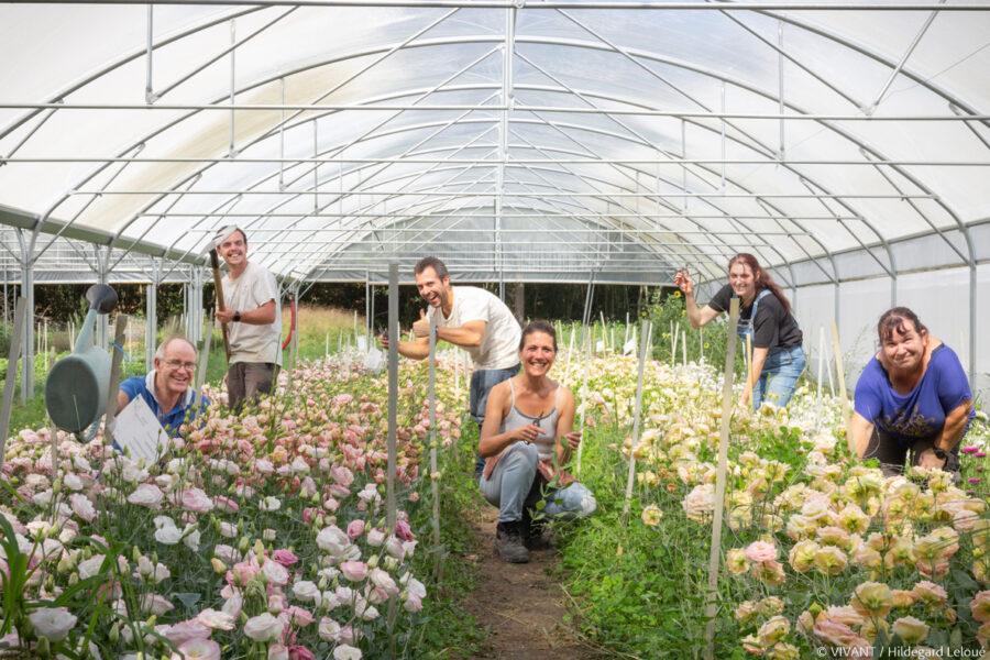 A La Floricotte, slow flower chantier d'insertion en floriculture près de Saintes