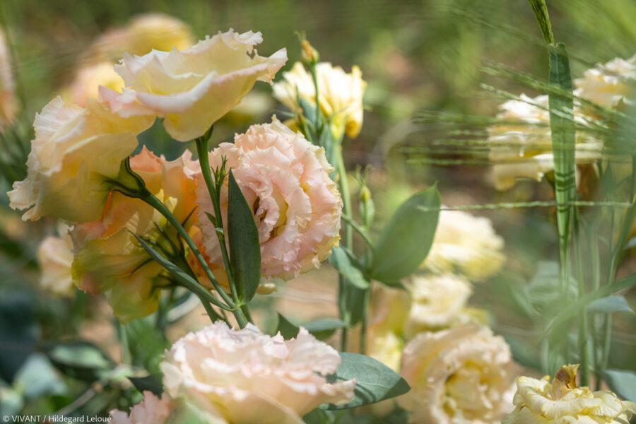 Floricotte chantier insertion-fleurs