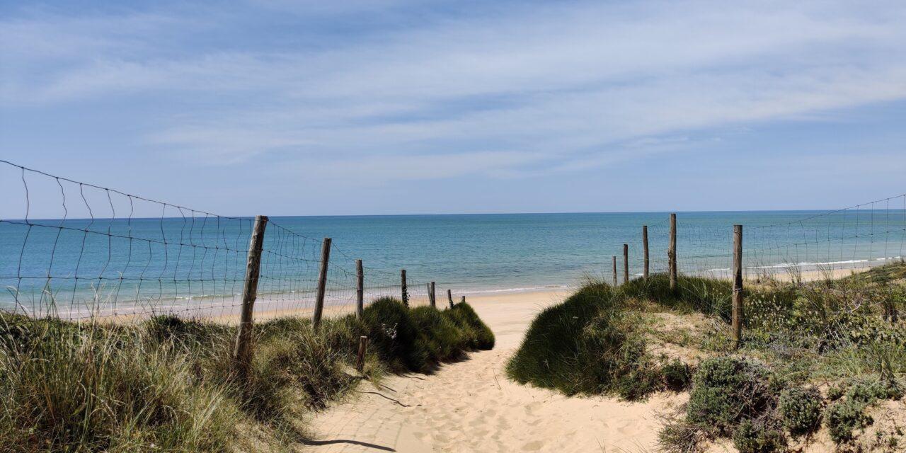 Eolien offshore vs biodiversité