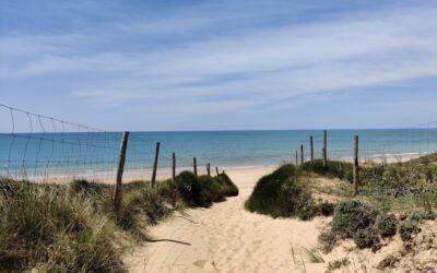 Ile d’Oléron : l’éolien offshore au prix de la biodiversité ?