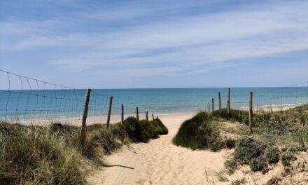 Ile d’Oléron : l’éolien offshore au prix de la biodiversité ?