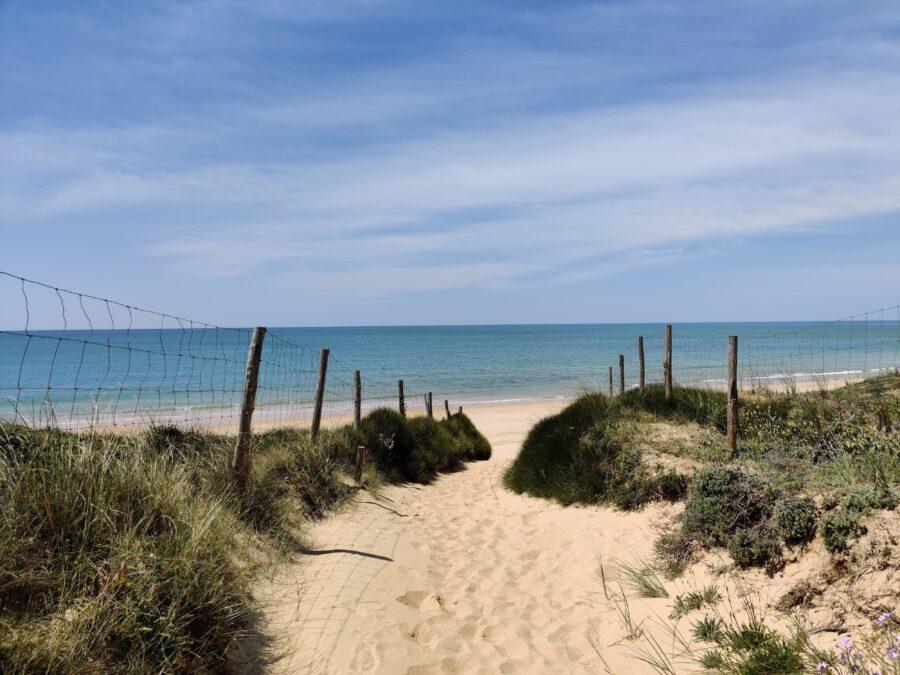 Eolien offshore vs biodiversité