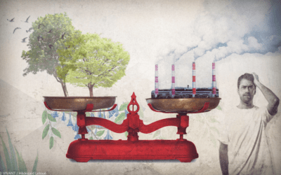 La neutralité carbone, fausse bonne idée ?