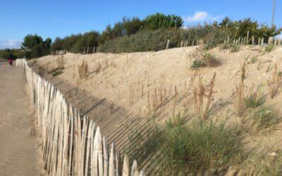 Montée des eaux : quels risques pour nos littoraux ?