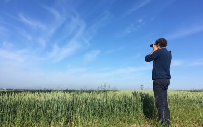 Dans les Deux-Sèvres, 450 km2 de laboratoire pour la transition agricole