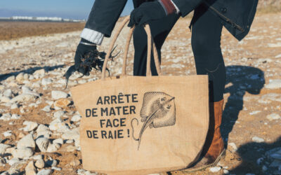 Collecte de capsules de raies : servir la science et le potager