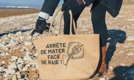 Collecte de capsules de raies : servir la science et le potager