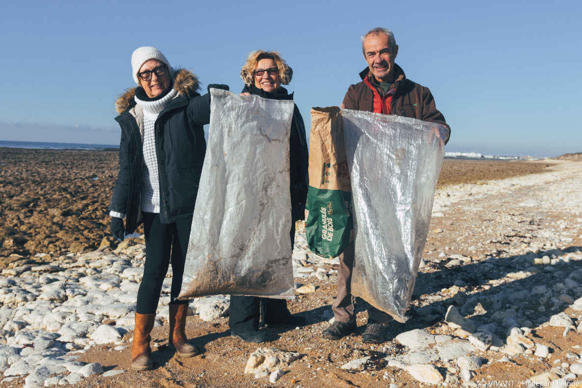 Poussière de capsules : récolte