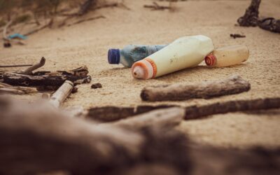 Dépollution d’une décharge littorale en Charente-Maritime