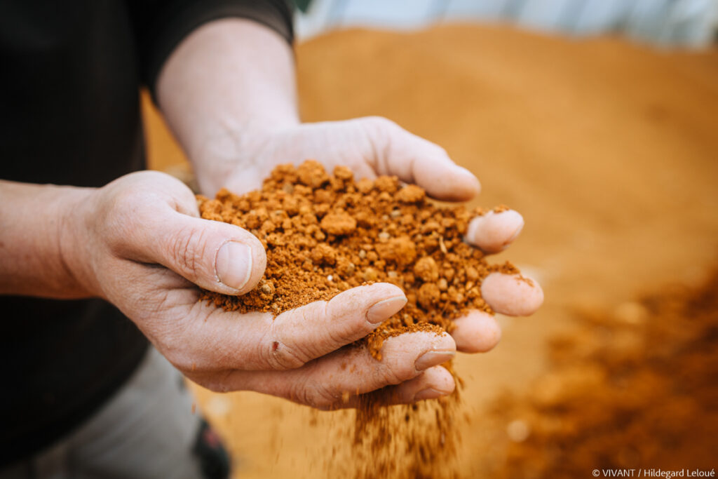 Bio-construction, les pouvoirs de la terre crue