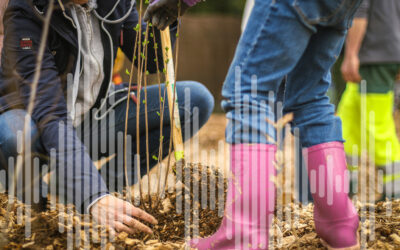 Plan Canopée à Poitiers : “Il faut essayer de prendre de vitesse le changement climatique”