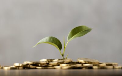 L’éco-socio-conditionnalité votée en Nouvelle-Aquitaine