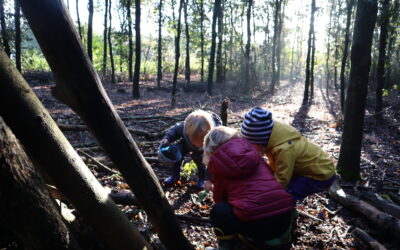 Profs en transition, un pont entre école et écologie