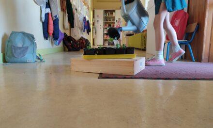 A Romagne, en chemin vers l&rsquo;Eco-Ecole