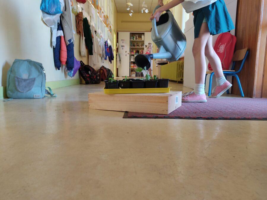 éco-école romagne 1