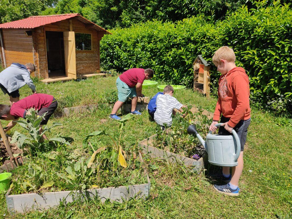 Le jardin est le premier pas vers l'Eco-Ecole. On y trouve des plantations destinées au marché aux plants, une cabane recyclée, un récupérateur d'eau et un hôtel à insectes